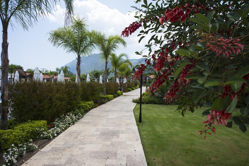 Resort Kimera Lounge Çıralı