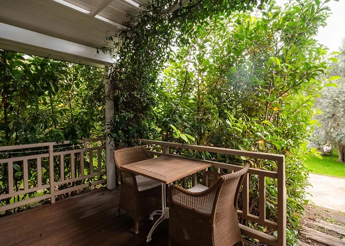 Kimera Lounge Boutique Hotel & Spa