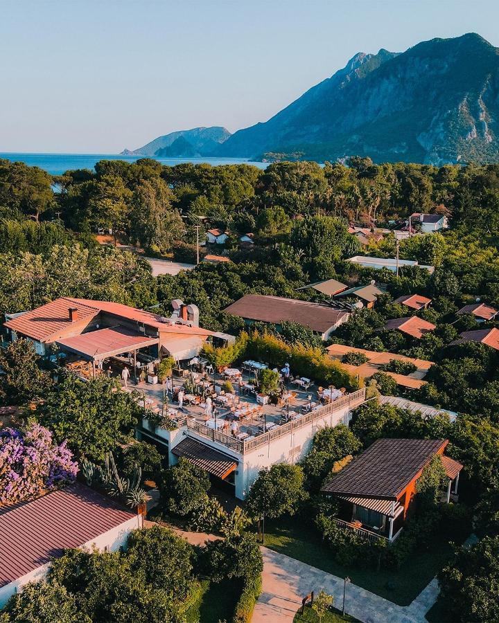 Kimera Lounge Boutique & Çıralı
